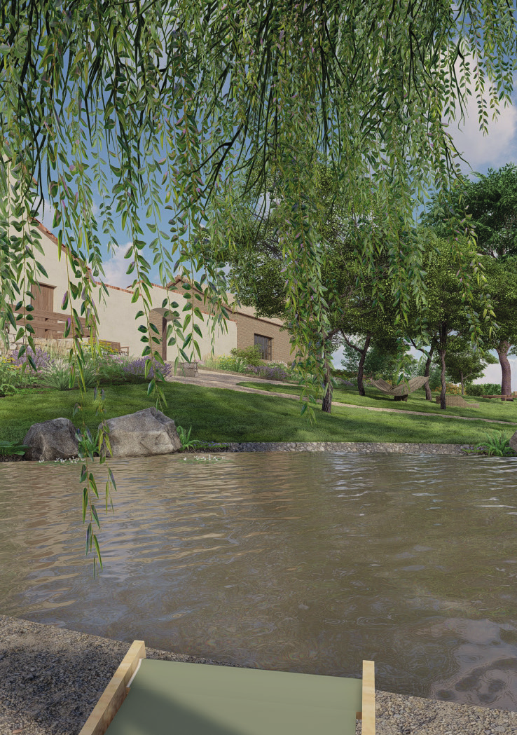 Pohled na rybník s vrbou